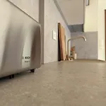 Woodsy Views 1 Bedroom דירה בנסקו