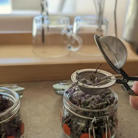 Апартаменты Woodsy Views 1 Bedroom