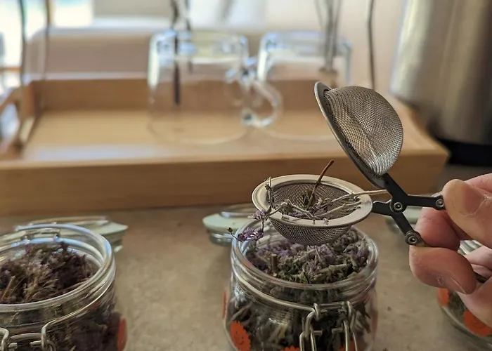 Апартаменты Woodsy Views 1 Bedroom